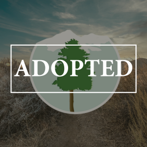 ADOPTED generic photo of landscape and sky with adopt a park logo