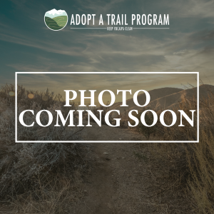 Photo Coming Soon