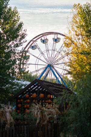 EthanLinstrom_PumpkinPatch copy