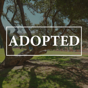 Wildwood Park photo of tree with white Adopted Text in a rectangle